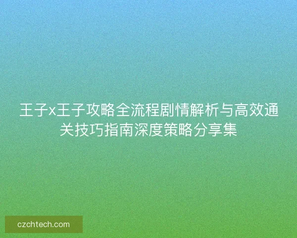 王子x王子攻略全流程剧情解析与高效通关技巧指南深度策略分享集